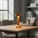 gemini-2.5-flash-image-preview (nano-banana)_[product]_placed_in_.webp